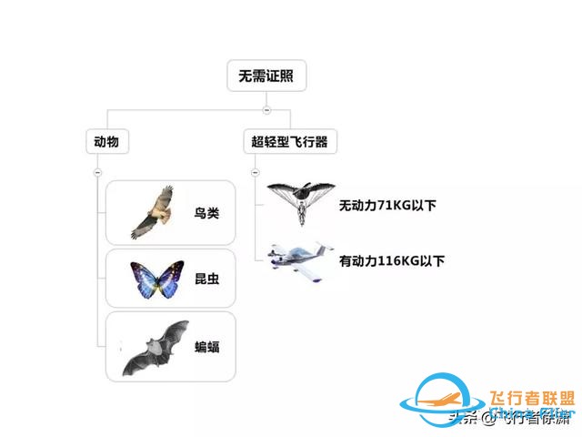 學習飛行的初級入門知識！-3719