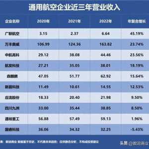 通用航空，誰是成長最快企業？