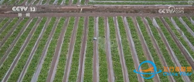 “低空 ”不斷上“新” 構建多元應用場景釋放“低空經濟”潛力-8204